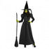 Black Wicked Witch of the West Women Costume