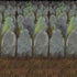 Graveyard Scene Setter 1.2m x 9.1m Each