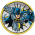 Batman Heros Unite NPC Paper Plates 23cm 8pk