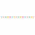 Ice Cream Party Decor Happy Birthday Ribbon Banner & Foil 15cm x 2.52m