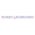 Mermaid Shine Iridescent Happy Birthday String Banner 15cm x 1.63m Each