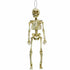 Hanging Skeleton Plastic Decoration 39cm Each