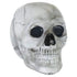 Mini Skulls Decorations Plastic 18pk