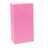 Bright Pink Large Paper Bags 25cm x 13cm 12pk